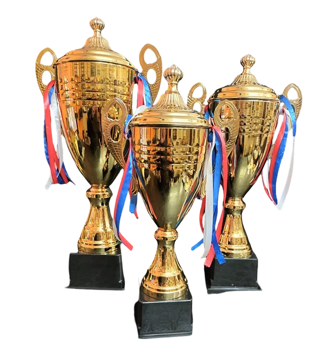 Sports Trophy Manufacturer in Ahmedabad