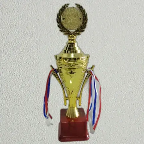 Sports Trophy Manufacturer in India
